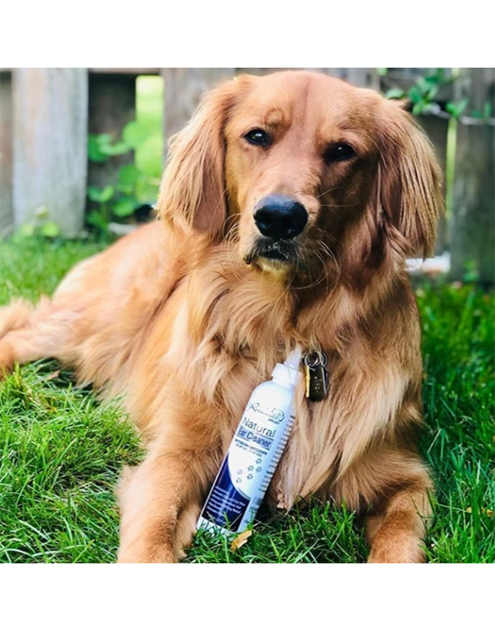 Natural Dog Ear Cleaner