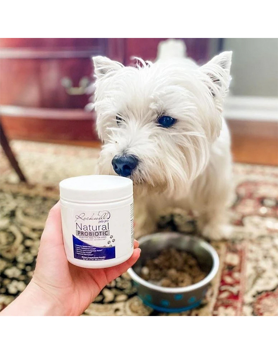 Natural Dog Probiotics