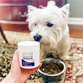 Natural Dog Probiotics
