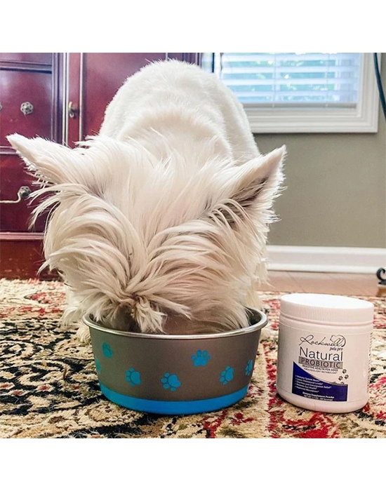 Natural Dog Probiotics